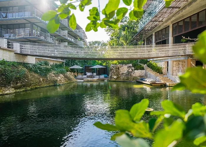 Divine 2br On Cenote Gym *